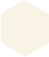 Метлахская плитка шестигранник Zahna 100/115x18 мм №16 белый