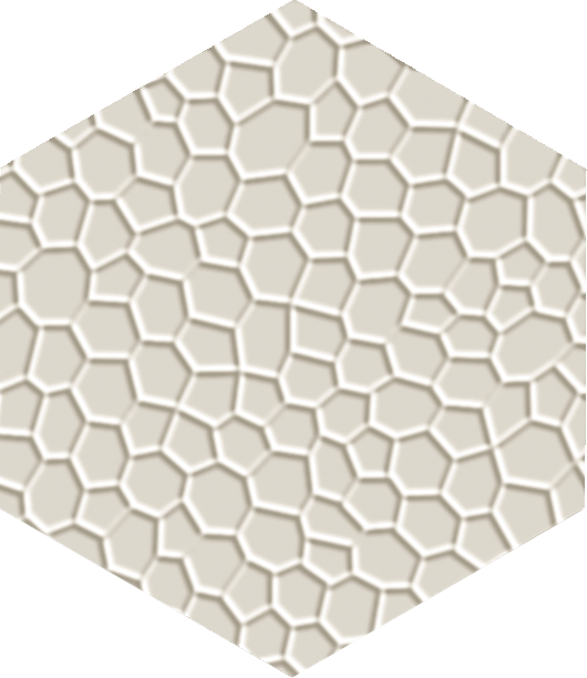 Метлахская плитка шестигранник Zahna 150/173x11 мм №16 белый Netz