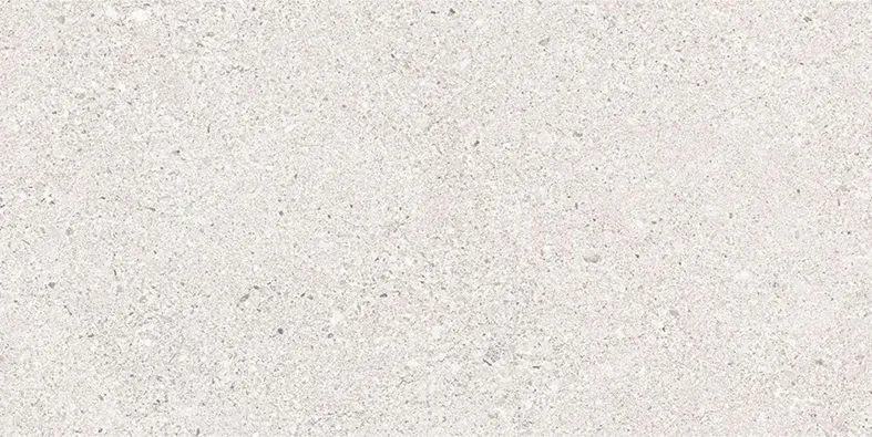 GRES ARAGON CRONOS Blanco 7111 Плитка / BASE R9 600х1200х10 мм