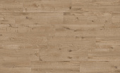 KERASTEP AMAZONIA 1211 Плитка / BASE R9  300x1200x9 мм